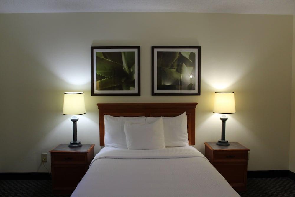 Hotel La Quinta By Wyndham Tampa Brandon West Exteriér fotografie